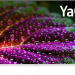 Телевизор BBK 40LEX-7244/FTS2C SMART TV белый