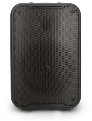 Акустическая система Eltronic 20-57 (WAVE 800)