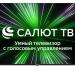Телевизор Hyundai H-LED65GU7001, Салют ТВ, 65", Ultra HD 4K, черный