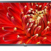 32" Телевизор LG 32LM637BPLB LED, HDR (2021), черный