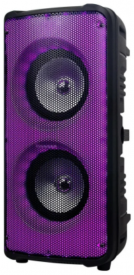 Портативная колонка Eltronic 20-20 FIRE BOX 300