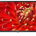 32" Телевизор LG 32LM6350PLA LED, HDR (2019), черный