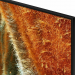 Телевизор SAMSUNG QE55QN70FAUXRU