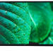 Телевизор SSMART 43R20 43" Full HD, черный