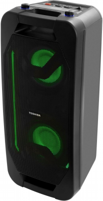 Портативная беспроводная Bluetooth колонка TOSHIBA TY-ASC66 с микрофоном