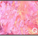 Телевизор Samsung QE-65Q60CAUXCE