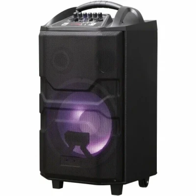 Колонка портативная National NSM-V550