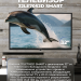 Телевизор HORIZONT 32LE7052D FHD SMART TV