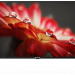 Телевизор BAFF 40Y FHD-R SMART TV