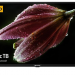 Телевизор BAFF 43Y FHD-R SMART TV