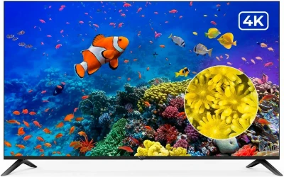 Телевизор Триколор H55U5500SA