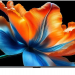 Телевизор XIAOMI S Mini LED 55 2026